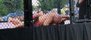 2011-08-27 WNCC arm triangle