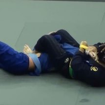 2014 IBJJF Chicago Summer Open